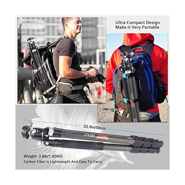 Cayer CT2480 Stativ aus Kohlefaser, 170,2 cm, leichtes professionelles Kamera-Reisestativ mit niedrigem Kugelkopf, 0,6… – Bild 7