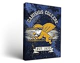 NCAA Canisius College Golden Griffins Banner Design Canvas Wall Art, 24" x 36"