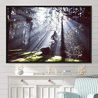 Framed Canvas Wall Art Rustic Woods Brown Dark Dramatic Forest Group Nature Photography Realism - 16x24 inches