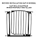 Dreambaby Chelsea Auto Close Security Gate in Black Value Pack (Includes 2 Gates and 2 Extensions)