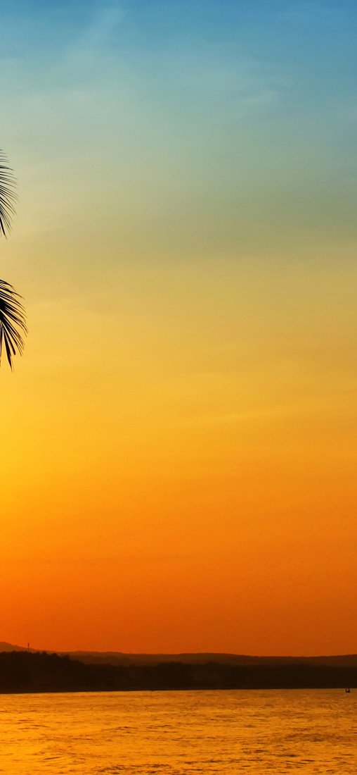 PeelitStickit, Paradise Vacations Wall Murals, ID-008, vinyl