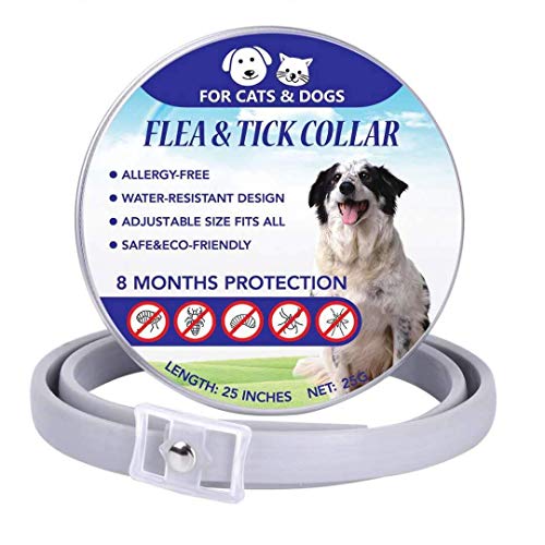 image for Maxtry 2 Pack Flea Tick Control Adjustable Waterproof Collar Protect D
