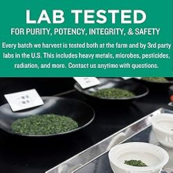 Jade Leaf Matcha Organic Culinary Grade Green Tea