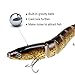 CampFENSE Fishing Lure Bait, 8-Segment, 3D Eyes, Extra-Large, Tackle 6# High Carbon Steel Anchor Hook 4 Color Options 5.23Inch / 0.67Oz (D)
