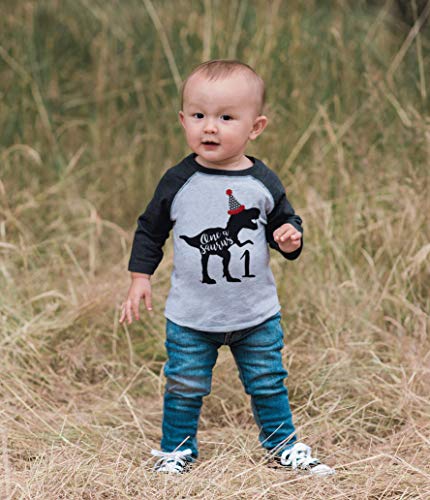 7 ate 9 Apparel Baby's Dinosaur One Birthday Grey 18 Months