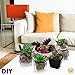 ELLIE ARTS Artificial Succulent Plants with Unpotted Faux Burros Tail and Echeveria for Terrariums and Home Office Decor (7 Pieces)