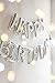 Fecedy Silver Happy Birthday Hang Alphabet Balloons Banner