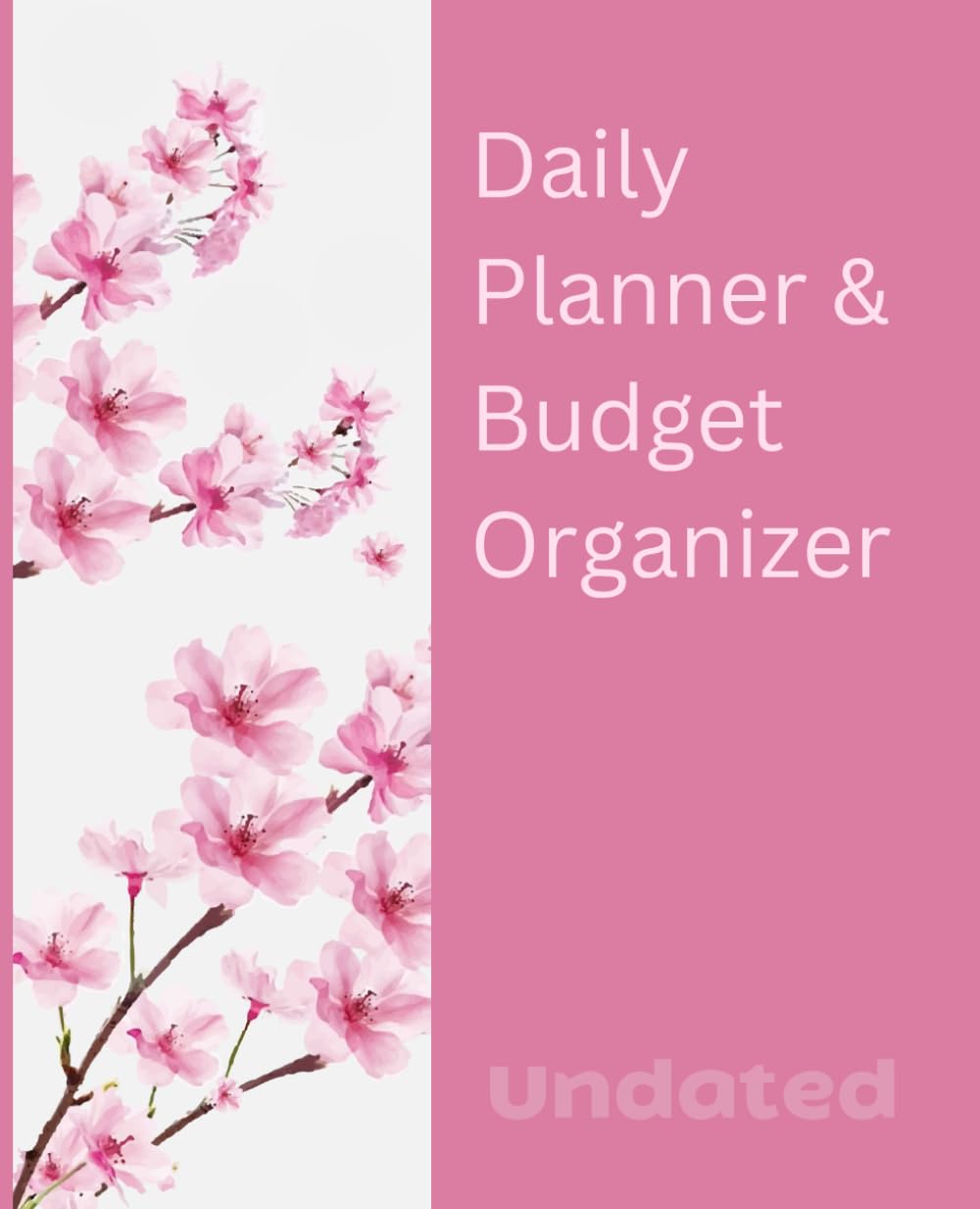 Undated Daily Planner and Budget Organizer: Page a Day Diary Including Appointment Times, Budget Tracker and To Do Lists