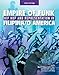 Empire of Funk: Hip Hop and Representation in Filipina/O America