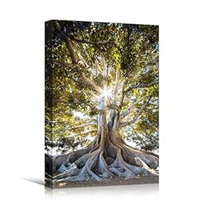 signwin Canvas Wall Art Green Forest Dramatic Forest...