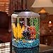 imagitarium 1.7 Gallon Hexagonal Aquarium