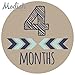 Modish Labels, 12 Monthly Baby Stickers, Baby Month Stickers Boy, Tribal, Arrows, Chevron, Baby Book Keepsake, Baby Shower Gift