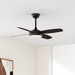 Asyko Ceiling Fans with Lights - 42" Black Outdoor