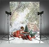 Backdrop for Winter Themed Pictures Christmas