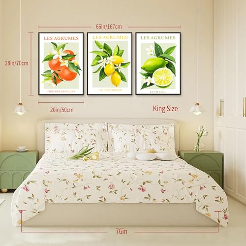 hyidecorart Black Frame Citrus Pictures Decoration Living Room Modern, Fruits Lemon Orange Blood Pictures Decoration Bedrooms Dining Room Office Hallway Kitchen and Bathroom
