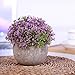 HC STAR Artificial Plant Potted Mini Fake Plant Decorative Lifelike Flower Green Plants Fake Flowers Small Fake Plants for Home/Office Decor/Desk/Kitchen/Bathroom/Shelves Purple Decor