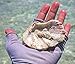 Glacier Glove Gray Sunglove