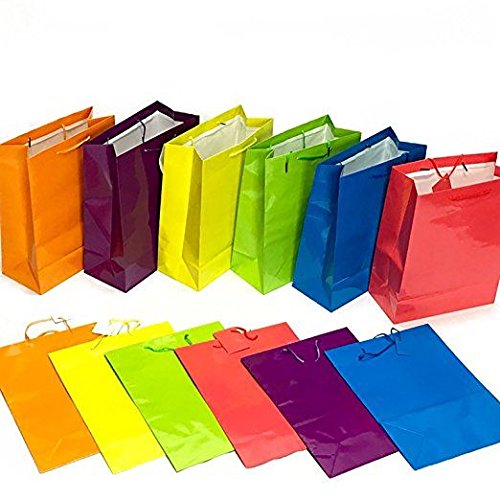 Ifavor123 Assorted Neon Bright Color Gift Bags for Any Occasion - Medium (13"H x 10"L x 4.5"W) - 12 Pack