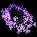 Kyson Solar Fairy String Lights 21ft 50 LED Purple Blossom Decorative Gardens, Lawn, Patio, Christmas Trees, Weddings, Parties
