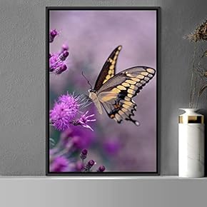 signwin Framed Canvas Wall Art Butterfly Expressive Farmhouse/Country...