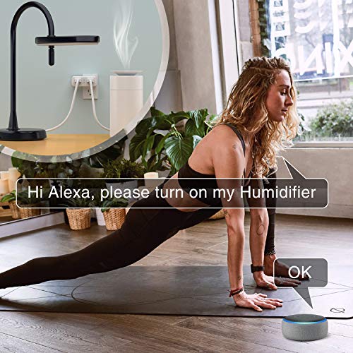 4 Extender+Compatible+Assistant+Individually+Required