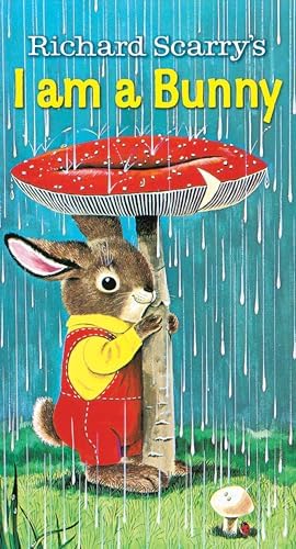 Amazon.com: The Country Bunny and the Little Gold Shoes (Sandpiper