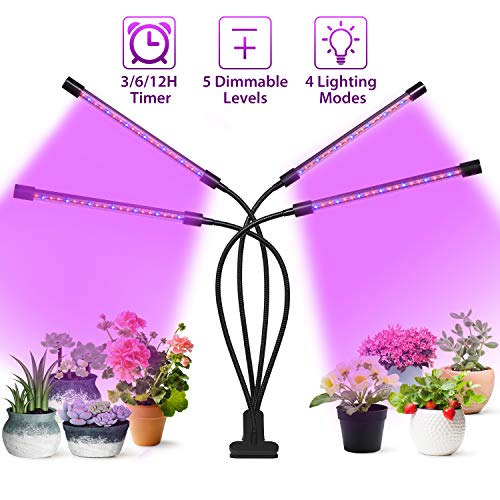 OxyLED Plant Grow Light, 36W Four Head 80 LED Plant Grow Lights for Indoor Plants with Red Blue Spectrum, Adjustable Gooseneck, 3/6/12H Timer, Clip-On Desk Growing Lamp with 5 Dimmable Levels
