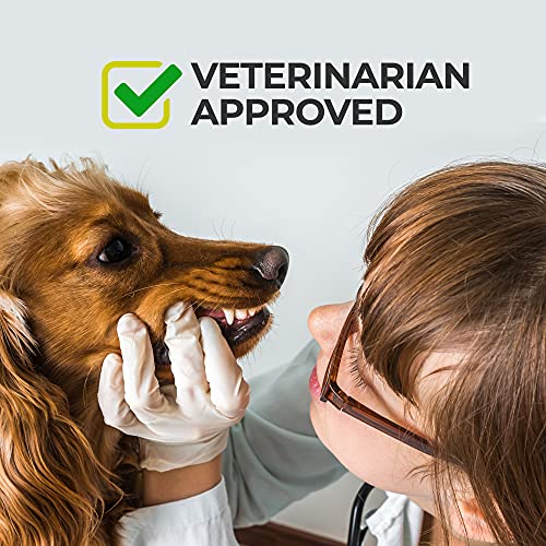 Alpha Paw High Protein Teeth Brushing Doggy Dental Chews Removes