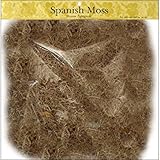 Panacea Spanish Moss Pkg Natural 16oz