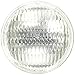 Ushio BC3246 1003531-20PAR36/FL30/12V PAR36 Halogen Light Bulb
