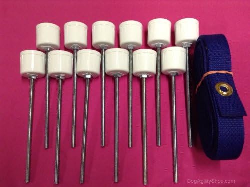 Dog Agility Equipment-12 Weave Pole Spikes/Stakes and Blue Pole Placer Combo