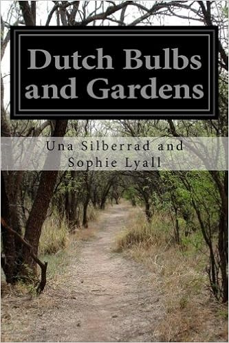 dutchbulbs free shipping