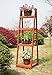Convenience Concepts 4-Tier Plant Stand