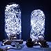 100ft 300LED Pure White Starry String Lights on a Flexible Copper Wire - Perfect For Creating Instant Appeal in Any Setting - Parties, Bedrooms, or an Intimate Environment Anywhere in the Home