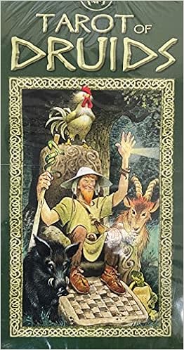 Lo Scarabeo Italy Tarot Of The Druids Vigna Baraldi 9788883953538 Amazon Com Books