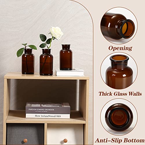 Amber Glass Vase, Bud Vases, Apothecary Jars, Decorative Glass Bottles