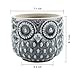 T4U Ceramic Succulent Planter Pot, Small Cactus Plant Pot Round Container Window Box Home Office Decoration Desktop Windowsill Bonsai Pots Gift Ornament for Gardener Wedding Christmas (No.01)