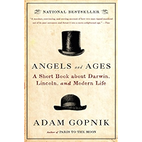 Angels and Ages: A Short Book about Darwin, Lincoln, and Modern Life book cover Angels and Ages: A Short Book about Darwin, Lincoln, and Modern Life book cover