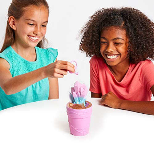 2 Blume+Doll+Add+Water+Grows