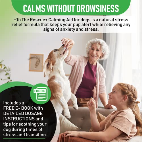 Calming Chews for Dogs Dog Training & Behavior aids, Dog Calming
