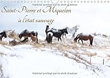 Saint-Pierre et Miquelon a l'etat sauvage 2016: Un petit bout de France meconnu (Calvendo Places) (French Edition) by 