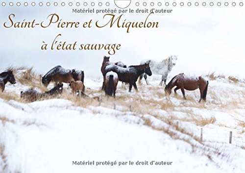 Saint-Pierre et Miquelon a l'etat sauvage 2016: Un petit bout de France meconnu (Calvendo Places) (French Edition) by (Calendar)