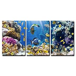Crowded Coral Reef - 3 Panel Canvas Art