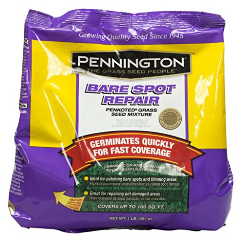 Pennington bare spot lawn repair central grass seed, 1 …