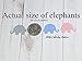 Blue Gray Elephant Table Confetti Its a Boy Baby Shower Decoration Elephant Theme and Ideas for a Party Little Peanut Set of 100