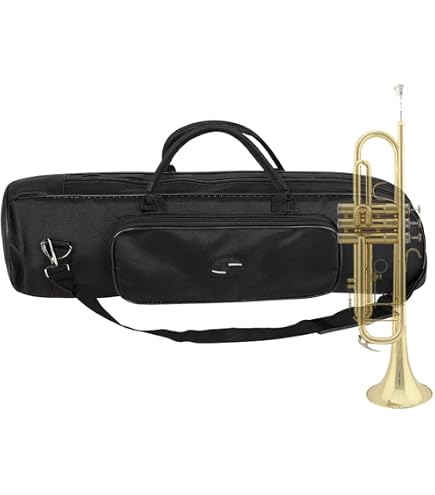 Étui De Transport Pour Trompette à Bandoulière - Sac à Dos En Nylon - Dimensions 53x15,5x13 Cm - Protection Double Fermeture Éclair