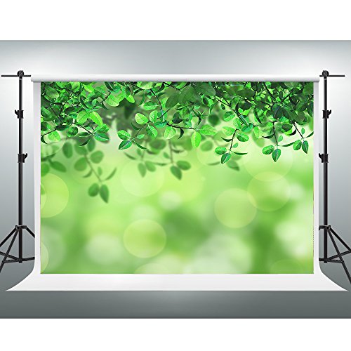 Which are the best greenery backdrop for parties available in 2018