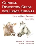 Clinical Dissection Guide For Large Animals
