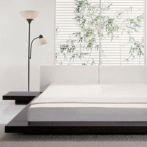 5 Light+Accents+SUSAN+Floor+Lamp