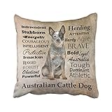 Accrocn Throw Pillow Covers Australian Cattle Dog With Alphabet Gray Vintage Style Cushion Decorative Pillowcases Polyester 18 x 18 Inch Square Pillowcase Hidden Zipper